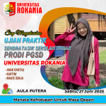 kontribusi_207
