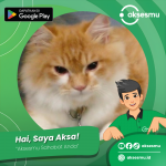 kontribusi_1459